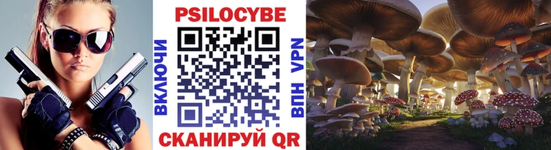 даркнет сайт  Пущино  kraken онион  Галлюциногенные грибы Psilocybine cubensis 